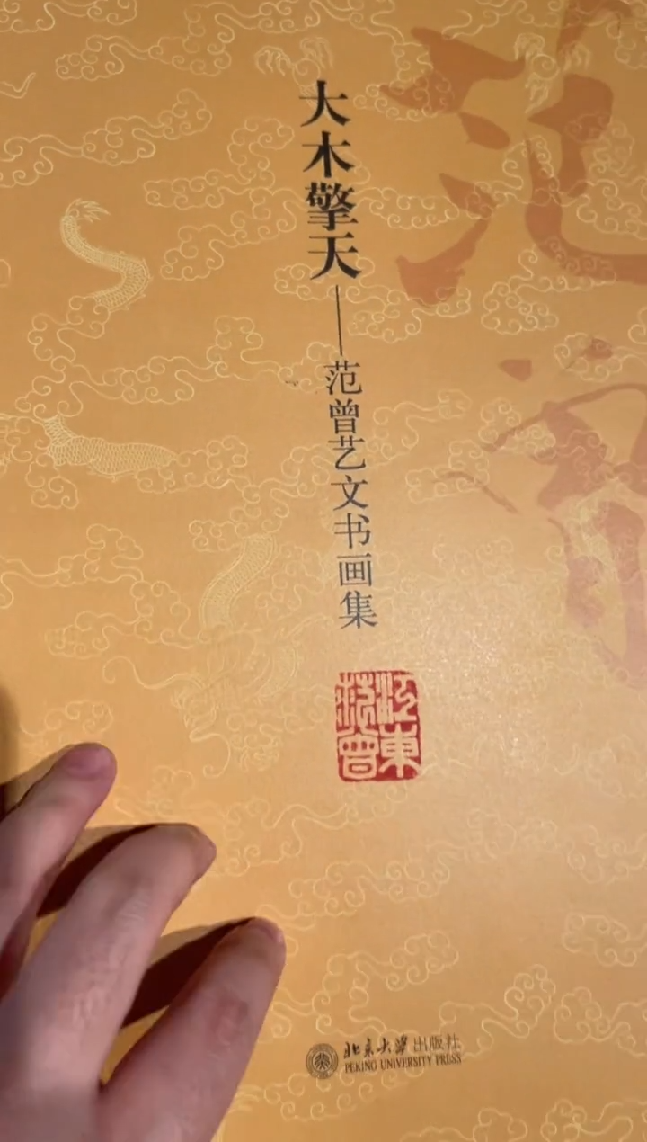 【闪购商品】书画大木擎天范曾艺文书画集