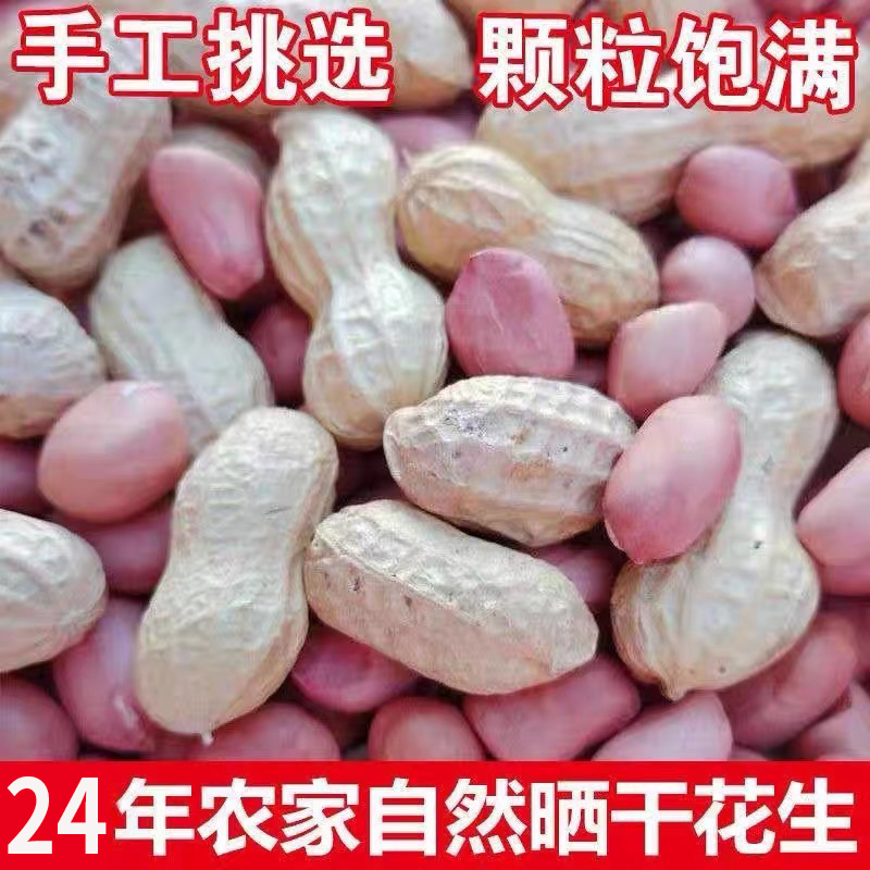 山东新果到手5斤精选花生去壳新鲜优质花生仁
