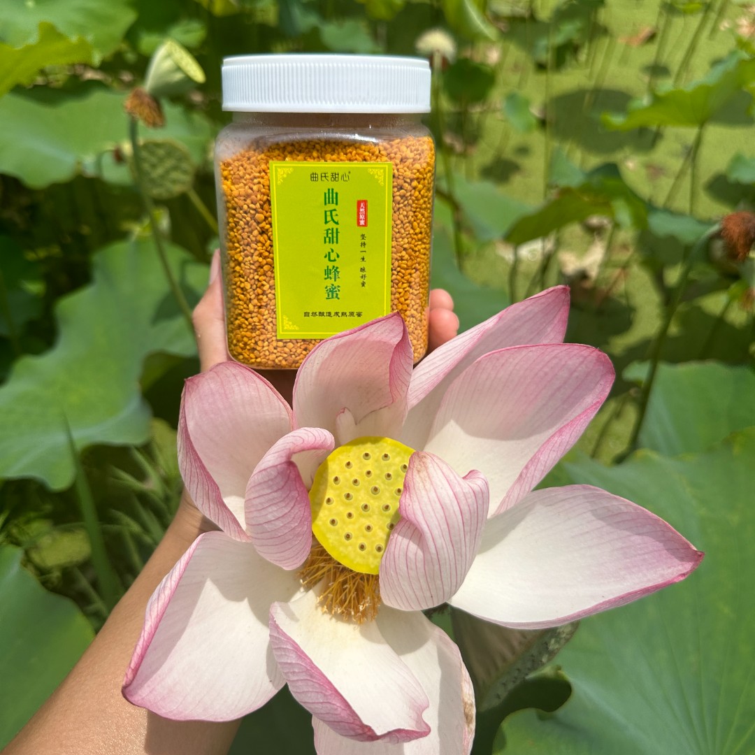 新鲜荷花粉500g 精选天然食用蜂花粉 