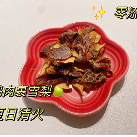清热祛火的鸭肉狗狗梨来咯（100g装）夏日纯手工肉干