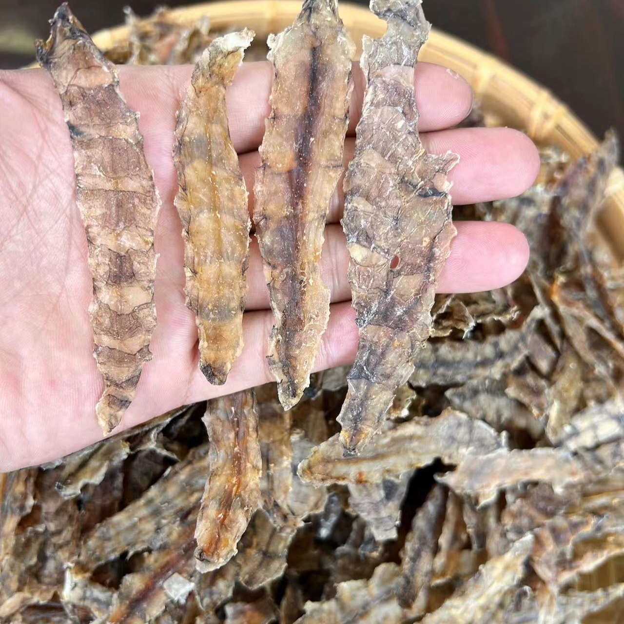 【台山浪琴湾】台山自晒淡干濑尿虾干 皮皮虾干250克500克