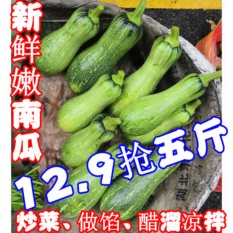 农家嫩南瓜新鲜蔬菜嫩倭瓜青窝瓜北方现摘青绿花皮南瓜农家包饺子