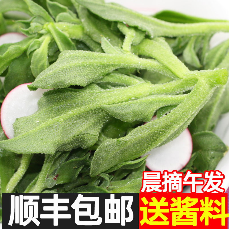 新鲜冰草5斤冰菜蔬菜顺丰冰花冰叶火锅即食生吃3沙拉菜凉拌包邮