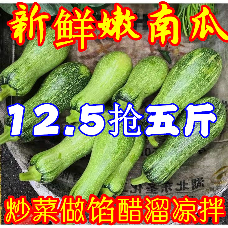 嫩南瓜新鲜蔬菜炒菜南瓜青皮南瓜青倭瓜嫩倭瓜整箱黑皮南瓜花皮瓜