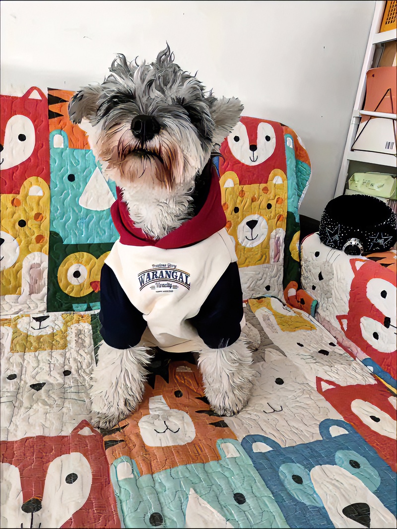 宠物狗狗大型犬衣服拼色潮牌连帽英文秋冬防掉毛纯棉卫衣拉布拉多