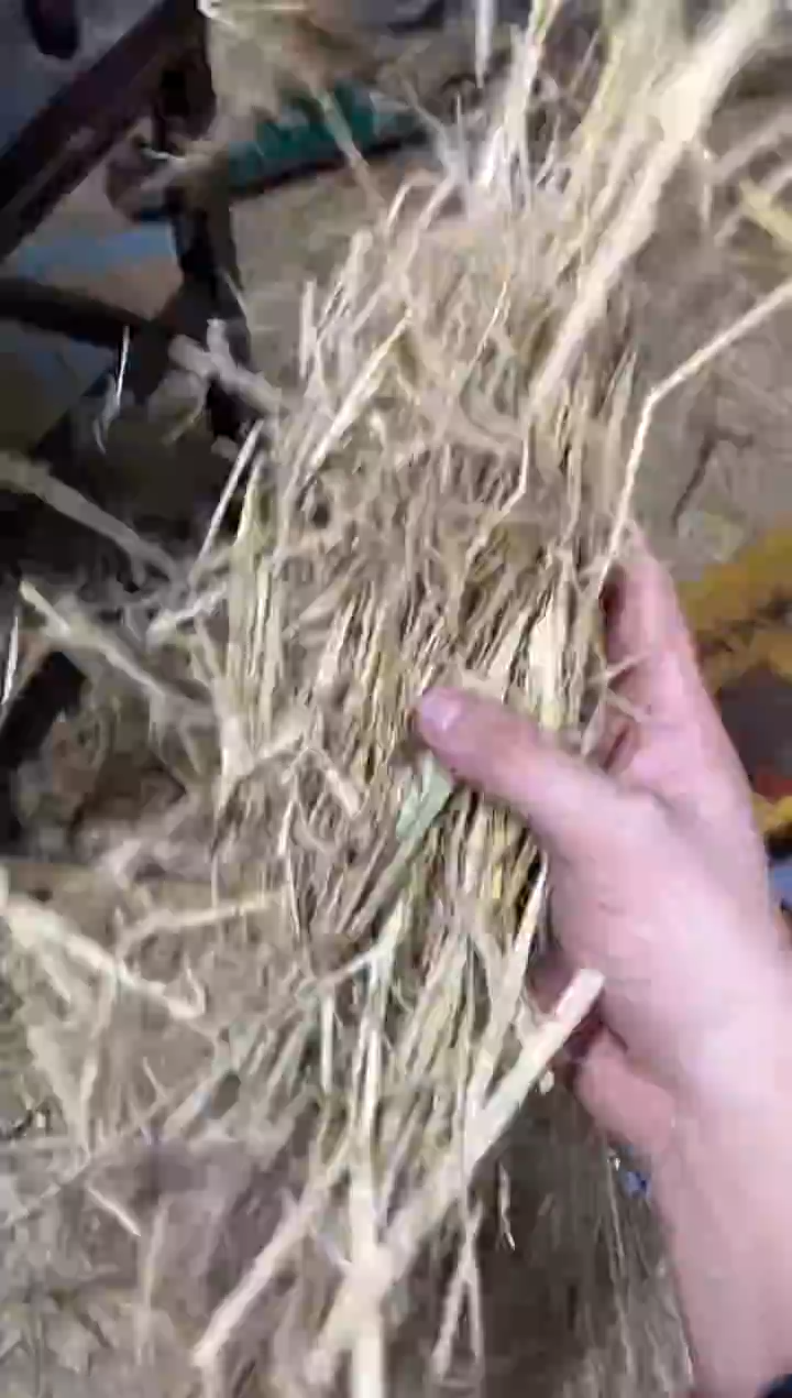 【闪购商品】书法1