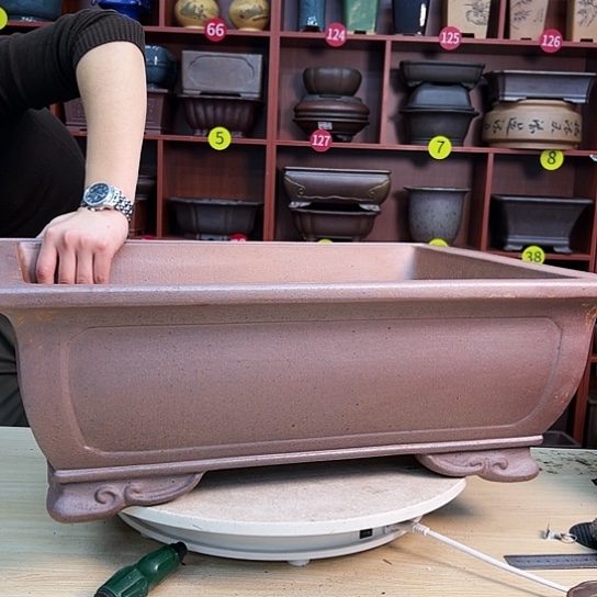 红陶心*紫砂花盆盆栽