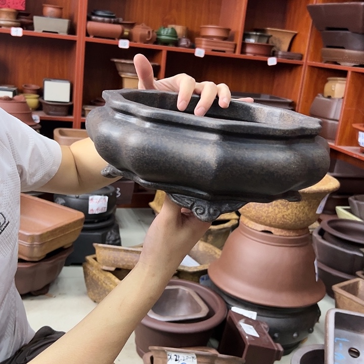 红陶20CM（含）-50CM（不含）