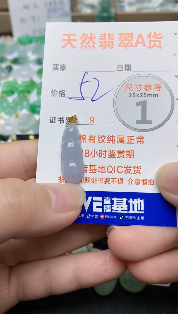 【闪购商品】翡翠颈饰未镶嵌16