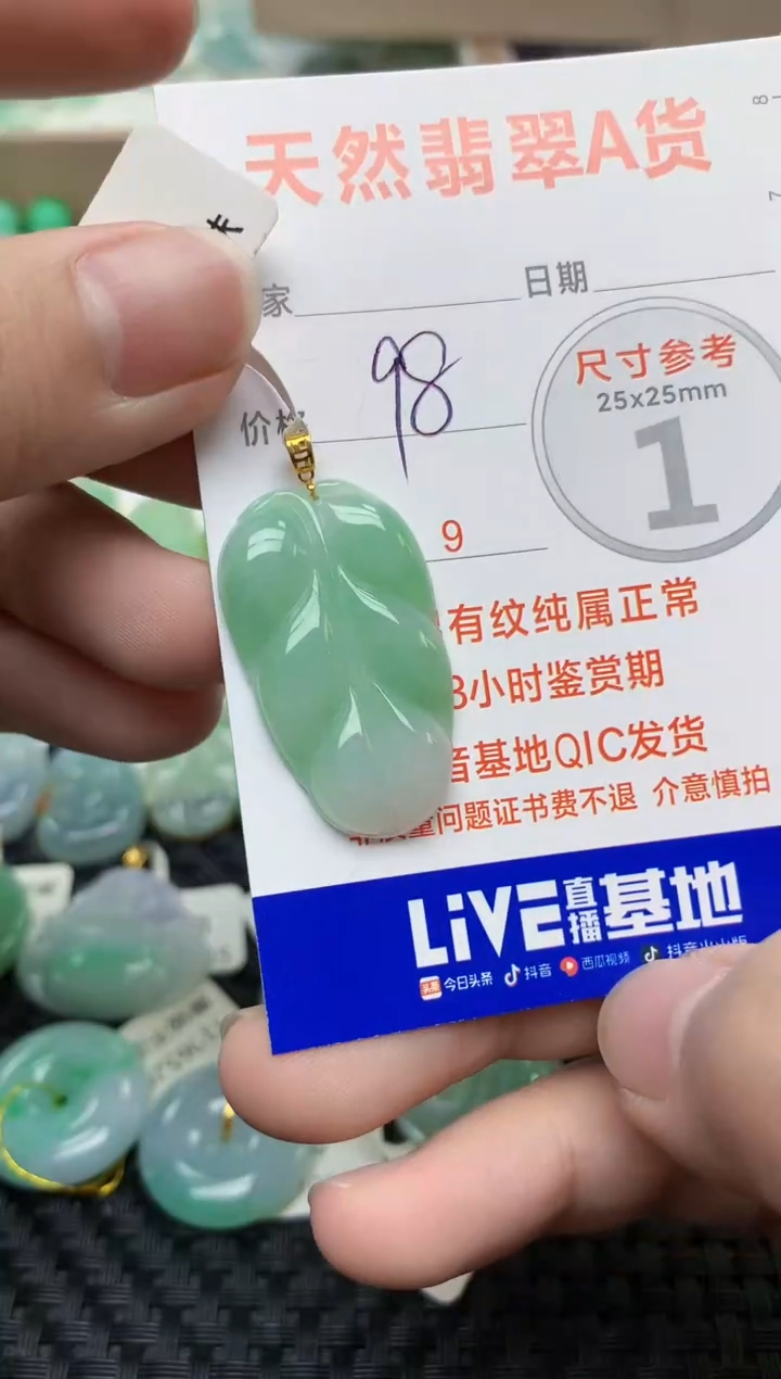 【闪购商品】翡翠颈饰未镶嵌57