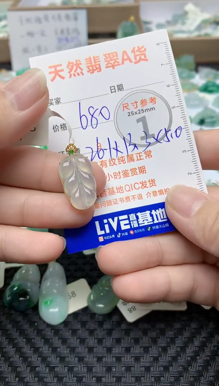 【闪购商品】翡翠颈饰未镶嵌57