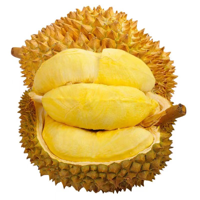 【县区可拍】一物一拍手挑树熟金枕鲜榴莲-县区可拍25