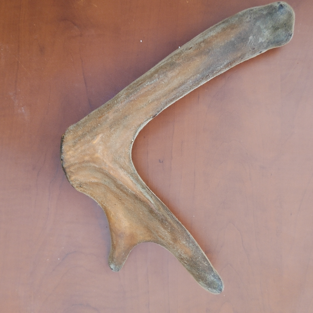 永纯吉林特产 长白山梅花鹿干鹿茸直发滋补营养泡汤泡酒