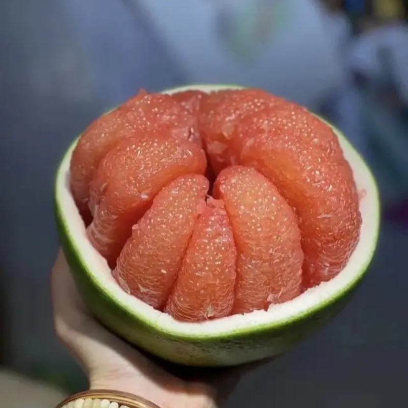 红宝石蜜柚红心柚子应当季红肉蜜柚三红密柚新鲜水果红宝石青柚