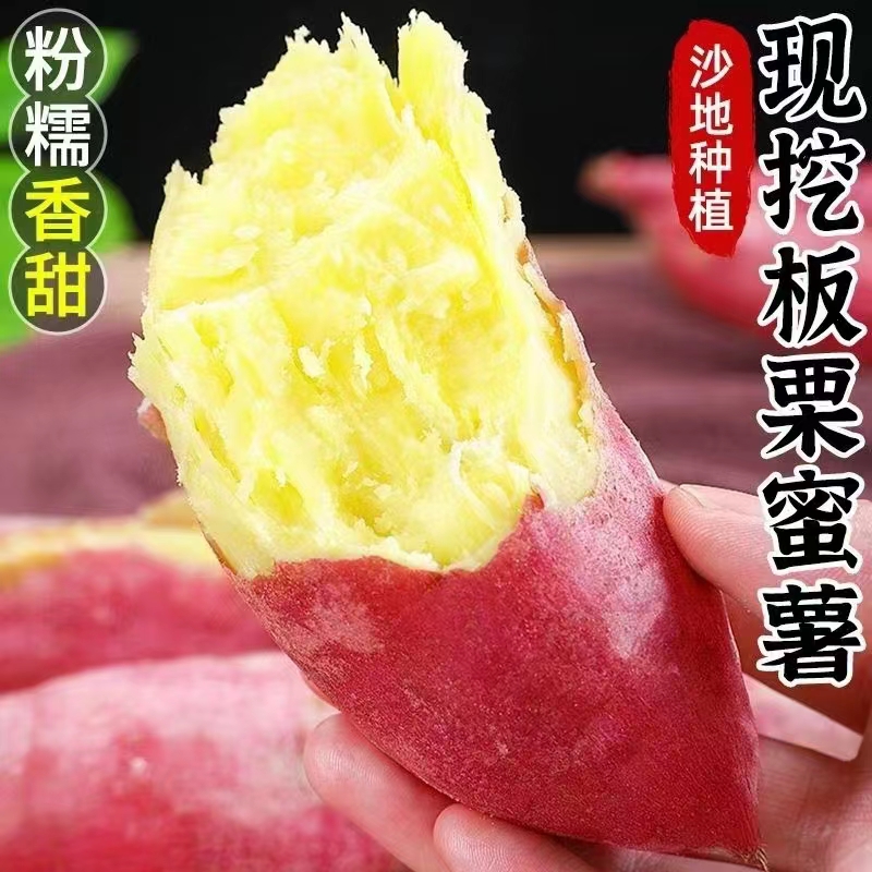 陕西板栗薯红薯农家自种新鲜番薯地瓜沙地板栗薯蜜薯小香薯