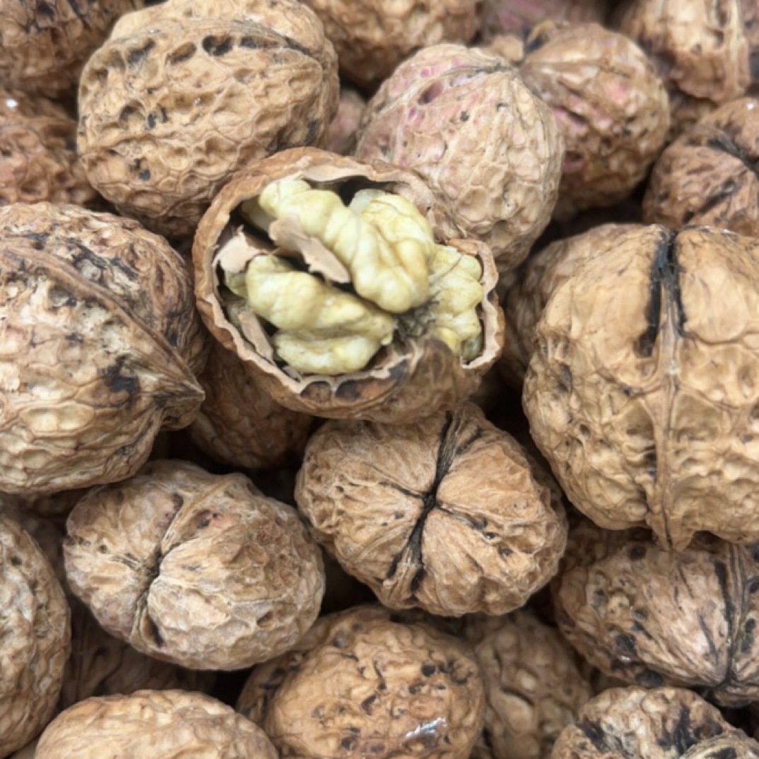 贵州高山农家自种，干核桃