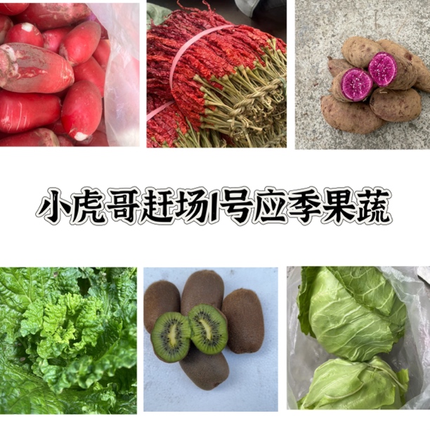 【赶场1号应季果蔬】