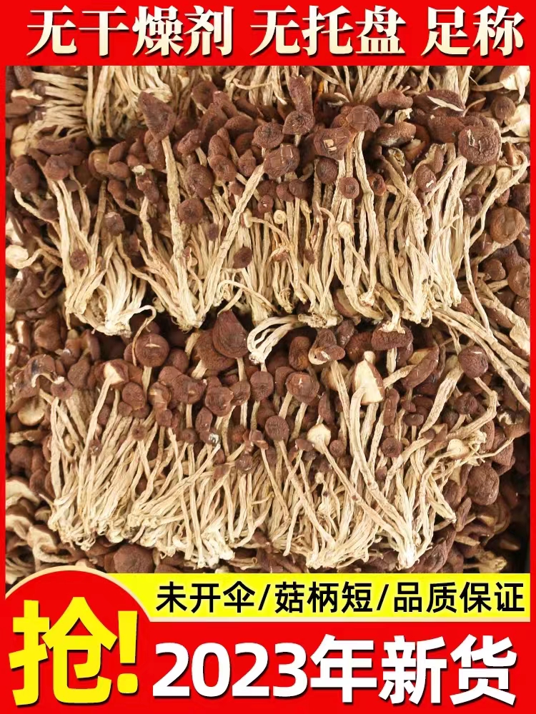 【2包茶树菇】不开伞 无硫 特级干货  干锅爆炒 食材精选食用新货