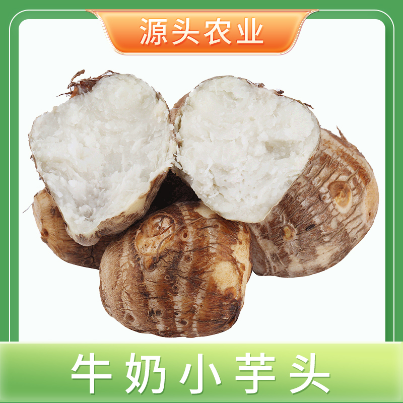 【牛奶小芋头】山东新鲜芋头绵软柔滑3/5斤 S