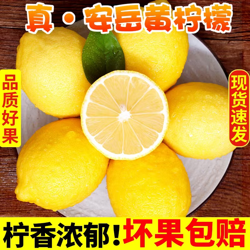 【3斤生态果坏果包赔】安岳柠檬单100-180g约8/14个2024年新鲜采摘