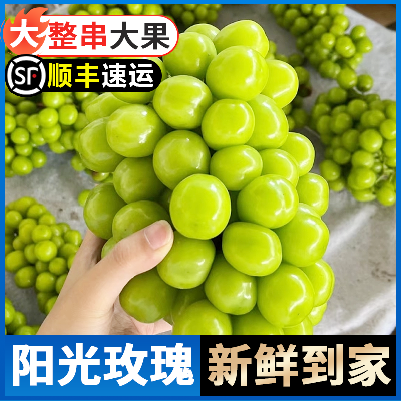 【顺丰包邮】带箱5斤装SS尝鲜口感脆甜晴王阳光玫瑰多汁葡萄提子