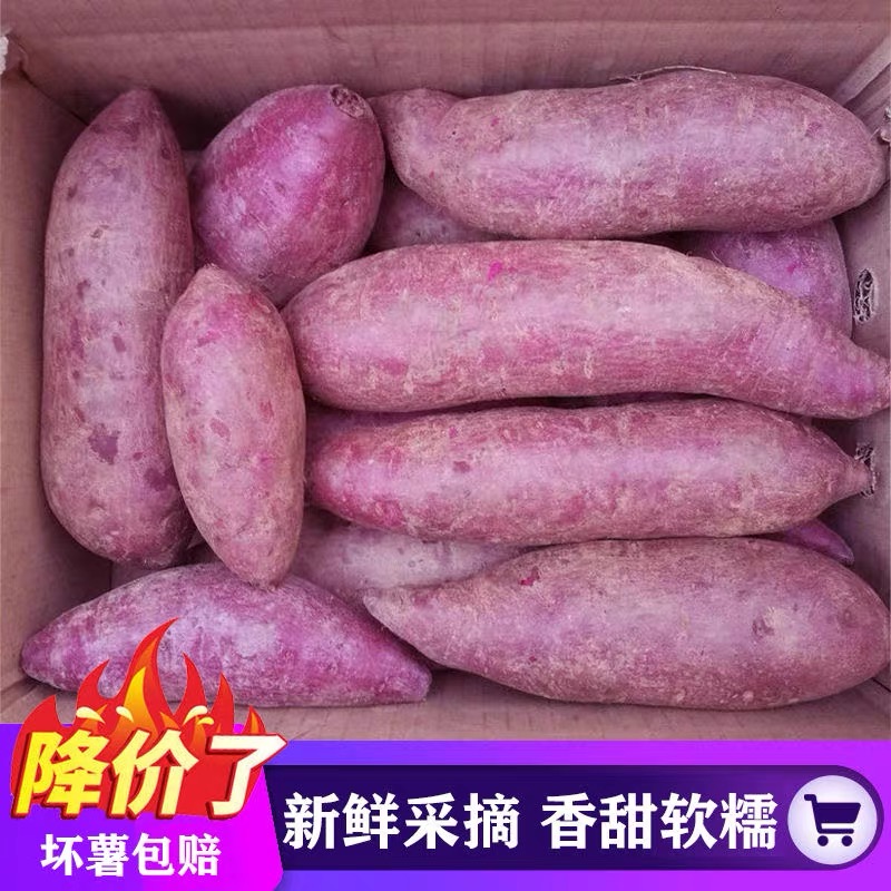 【半价抢】新鲜紫罗兰紫薯早餐粗粮现挖沙地蜜薯板栗薯地瓜烟薯包