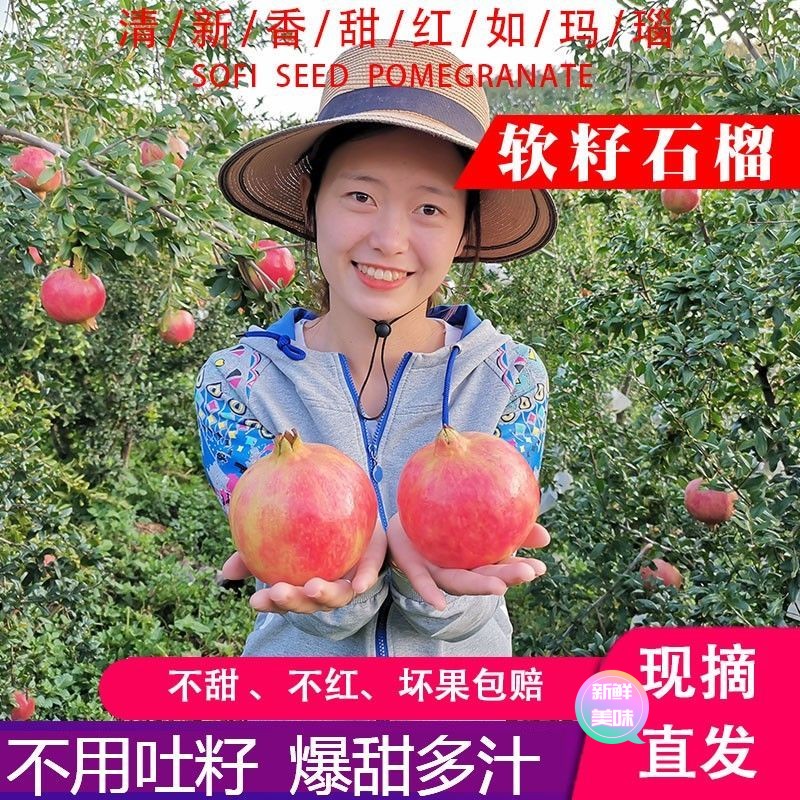 【东方推荐】河南河阴突尼斯软籽石榴红甜礼盒不吐籽无籽薄皮新鲜