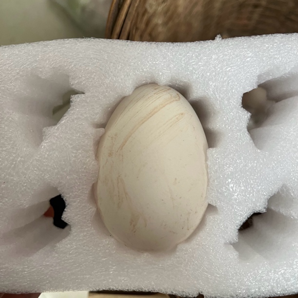 【农家鹅蛋蛋】5 个