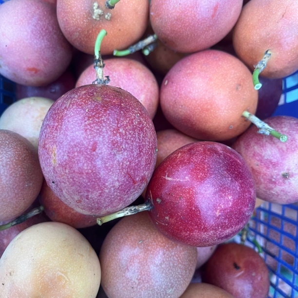 荣隆-农家百香果