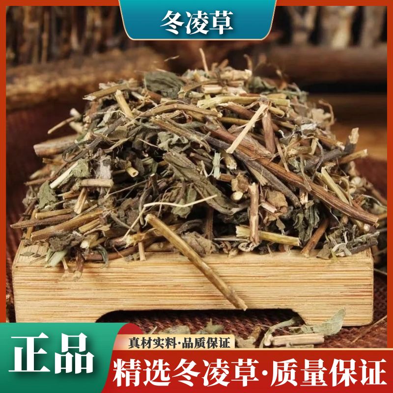 冬凌草当季无硫冬凌草正宗野生冬凌草叶菜农产品无杂250-500g新货
