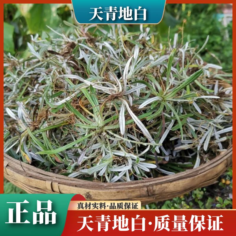 正宗深山天青地白晒干干货正品小火草散装山货叶菜250-500g包邮
