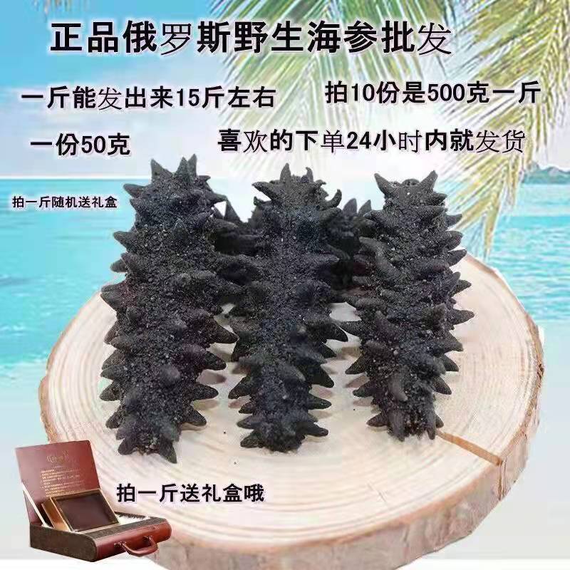 50头海参俄罗斯野生海参批发纯干海参干货老人孕妇营养滋补品包邮