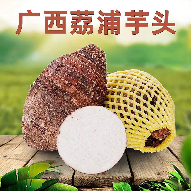 广西荔浦新鲜芋头正宗荔浦大芋头纯天然现挖现发包邮粉糯大芋头