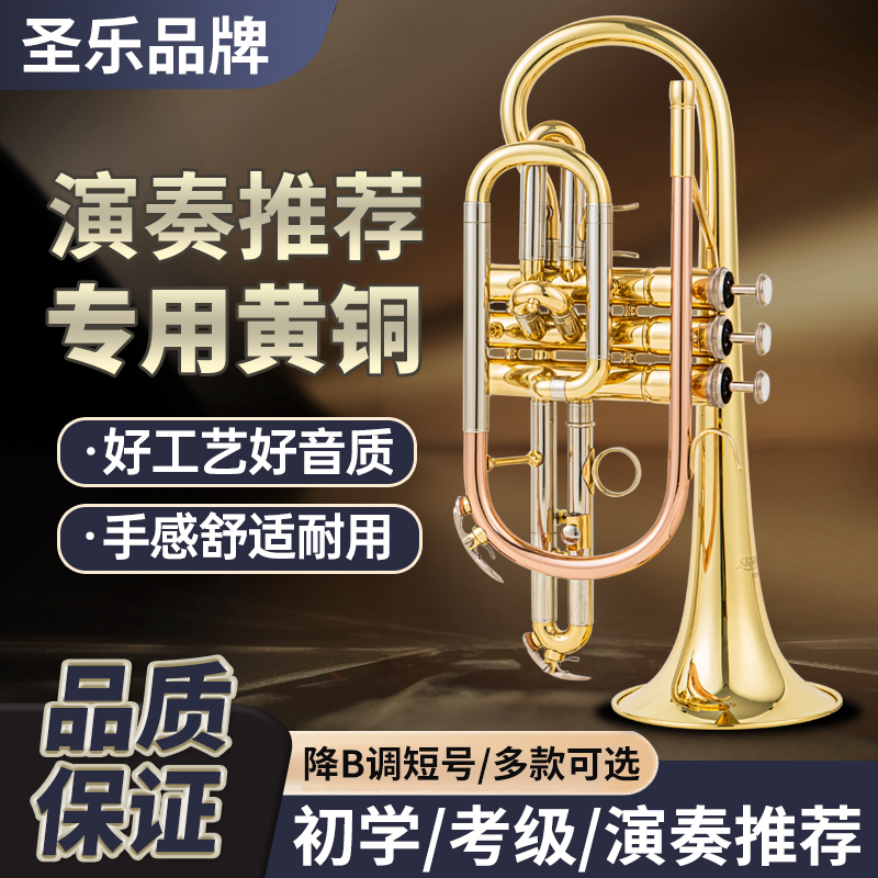 Singer`day圣乐乐器降B调短号SDCR-4355G专业演奏级优质初学轻便