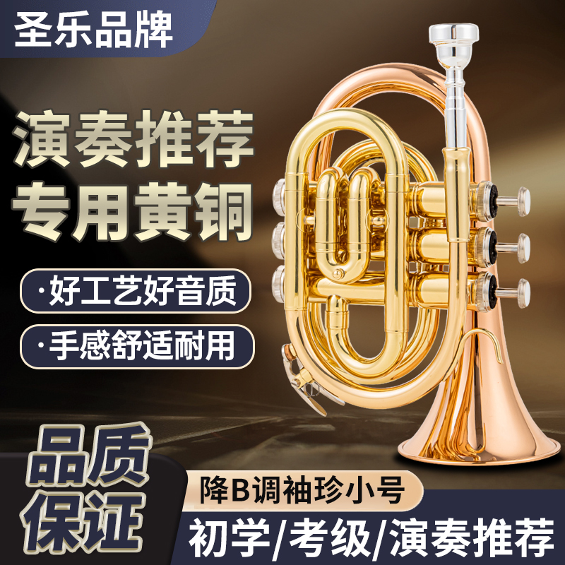 Singer`day圣乐乐器降B调手掌号SDPT-5805专业演奏级优质经典便携
