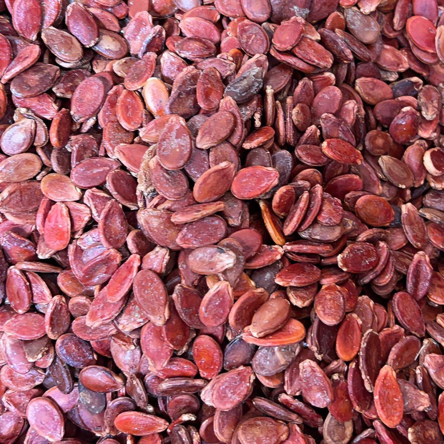【昭爷专属】新田本地农家大个头红瓜子 现场称重 现卖现发 包邮