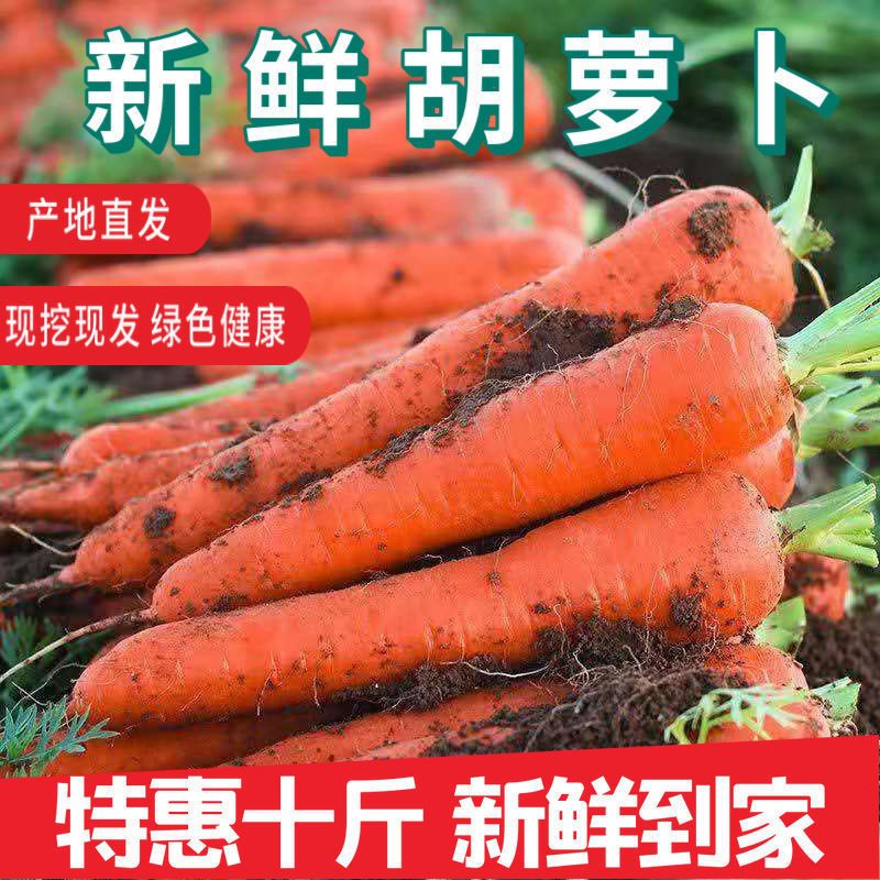 新鲜胡萝卜沙土地农家自种新鲜蔬菜现挖现发生吃脆甜水果红萝卜