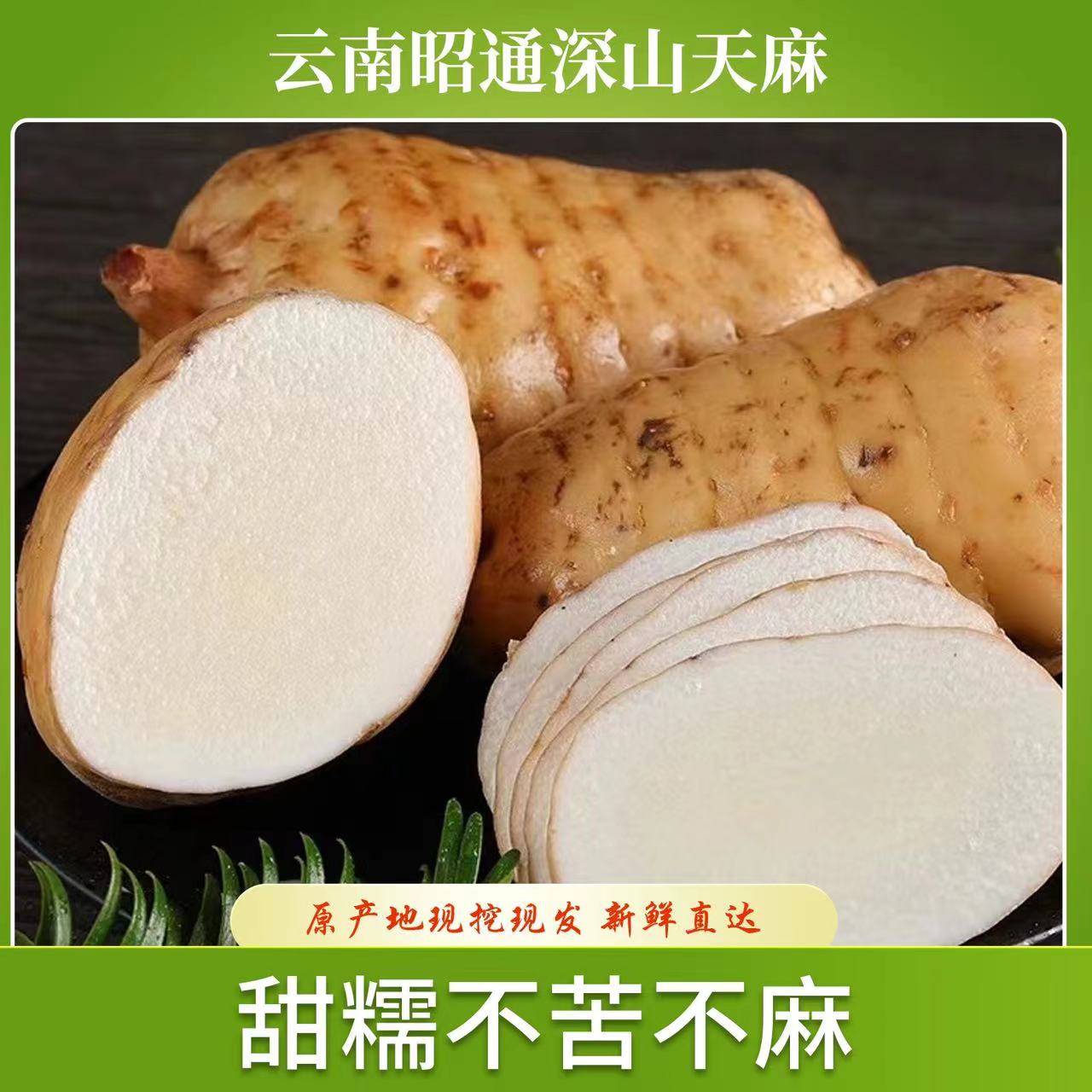 云南昭通小草坝原生态营养新鲜高山乌天麻源头天麻新鲜云南天麻