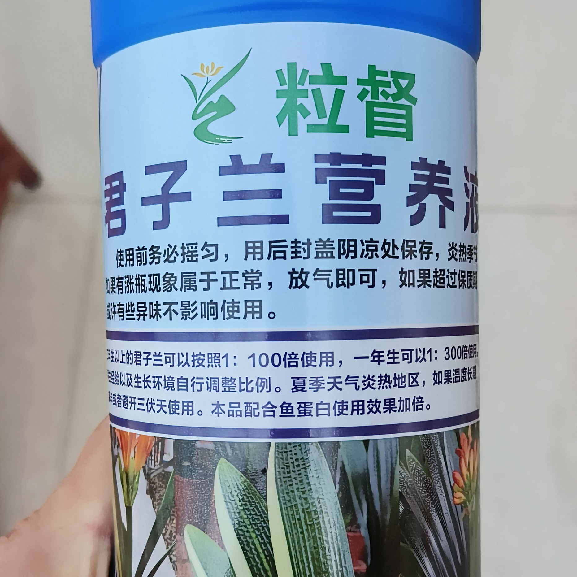 粒督君子兰营养液一瓶新疆西藏海南勿拍