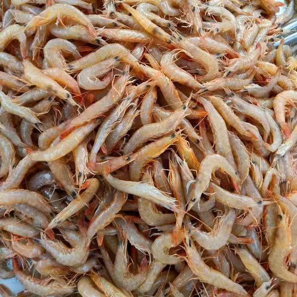 【直播现称】麻虾   冷运到家