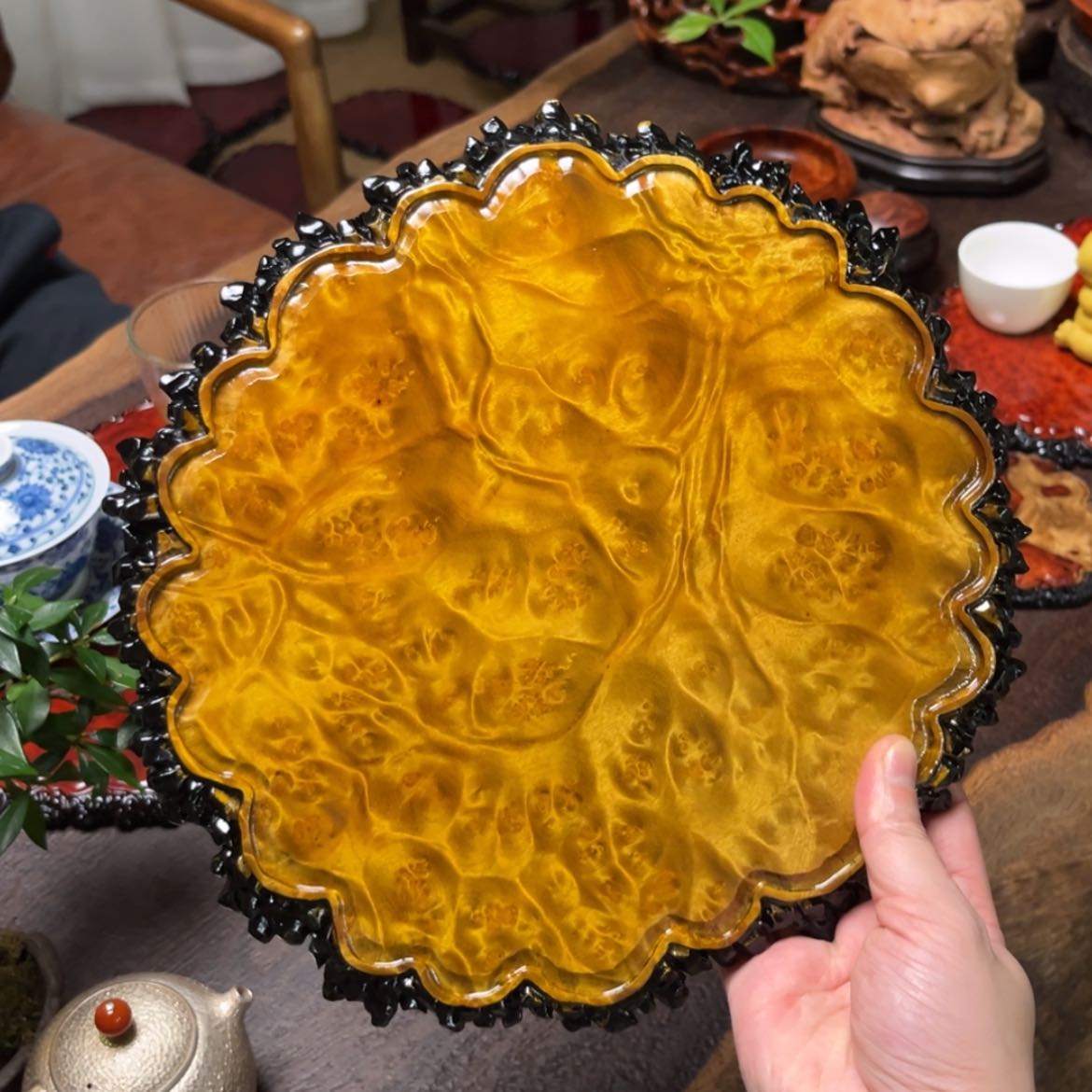 【闪购商品】木黄金樟干泡