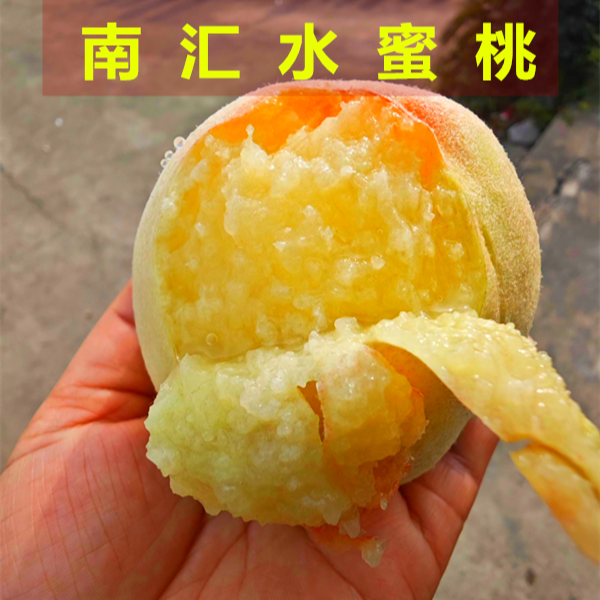 正宗上海南汇水蜜桃大团蜜露玉露桃子新鲜水果礼盒产地直发