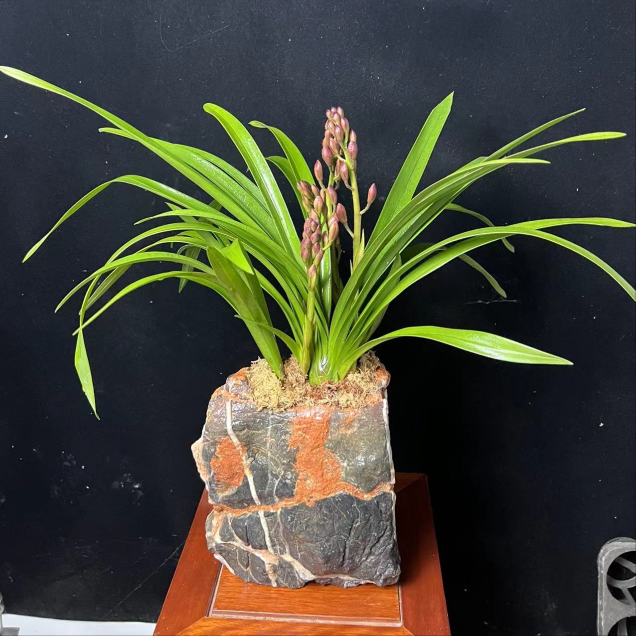 灵璧石头花盆鱼缸摆件 兰花盆老桩盆 烟灰缸 盆景盆
