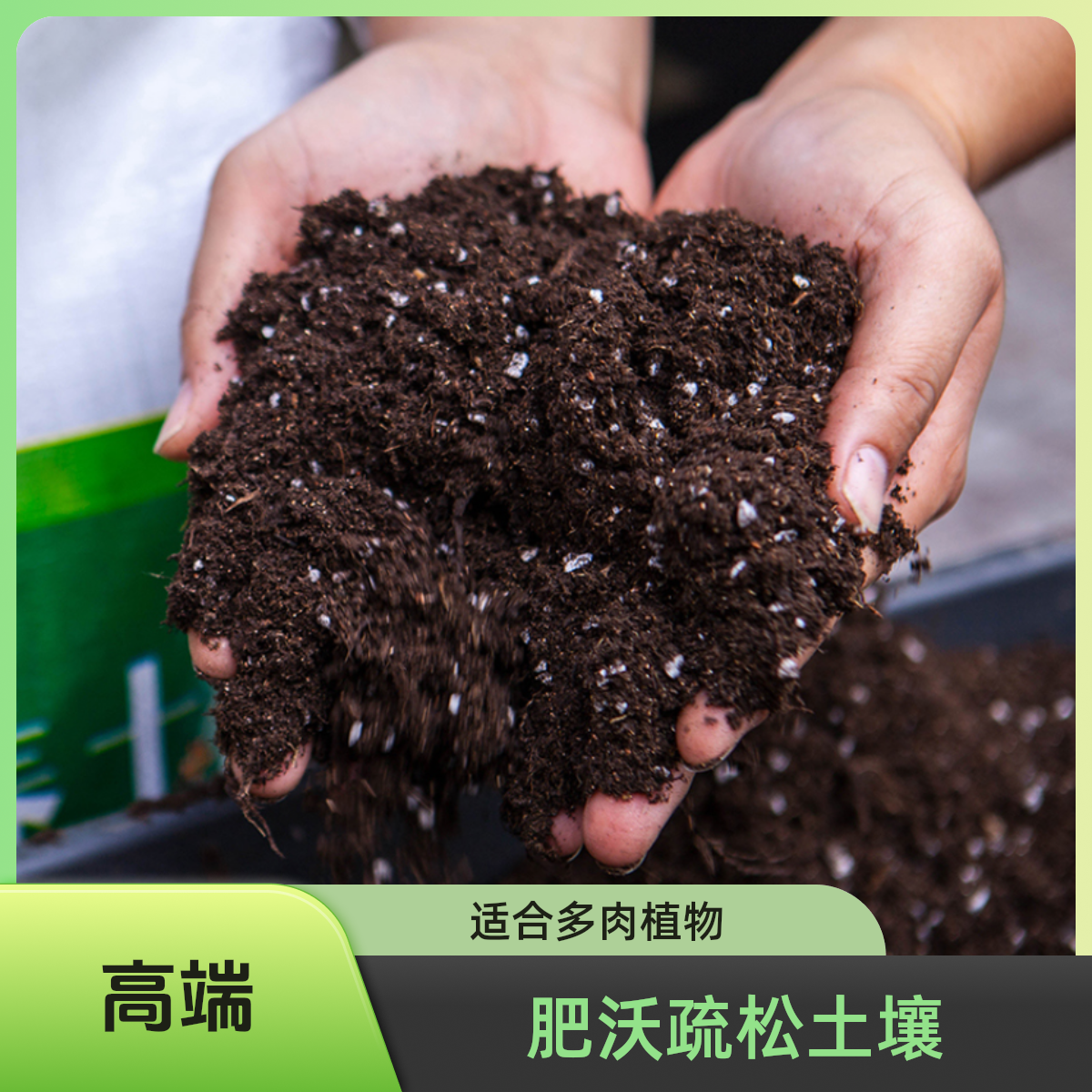 营养土养花专用通用型泥炭土均衡养花种菜土育苗多肉土有机种植土