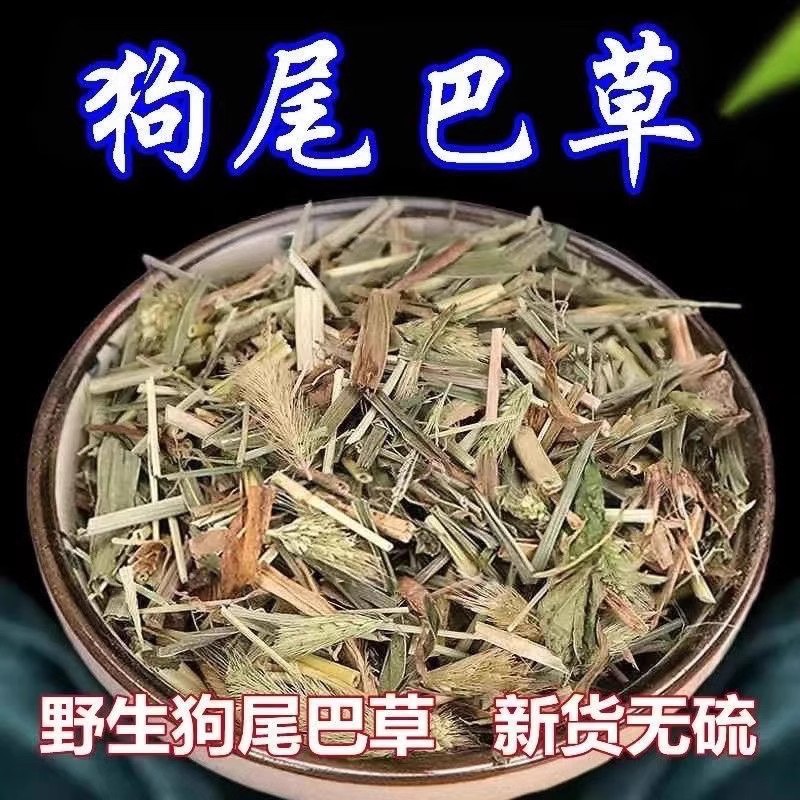 狗尾巴草正品光明草新货叶菜散装狗尾巴食用草食材500-1000g包邮