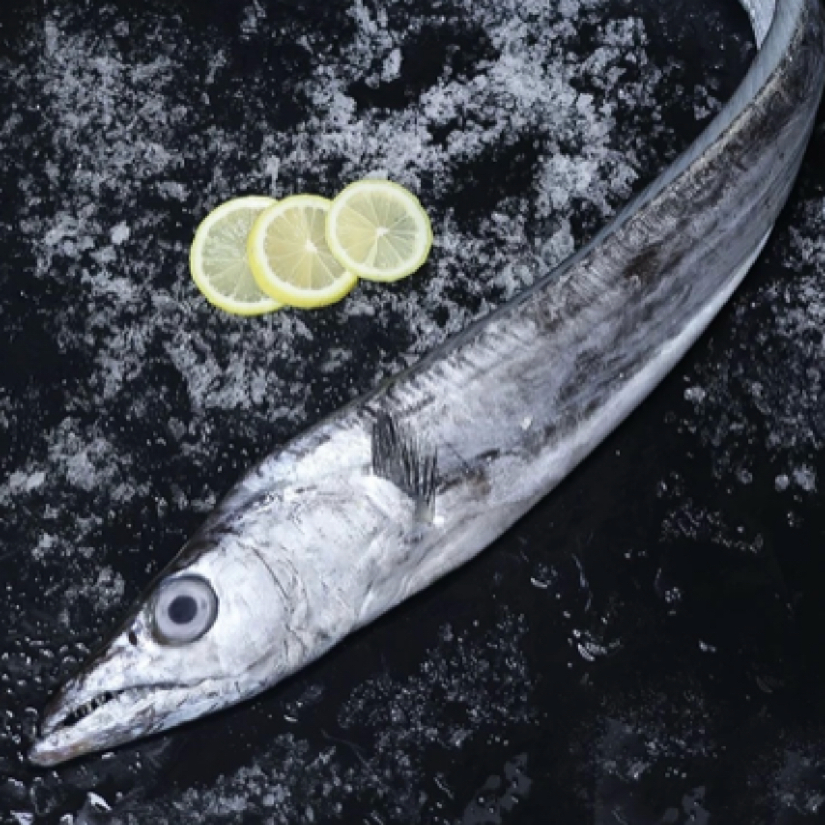 【直播现称】，超大海钓带鱼整条 顺丰包鲜到家