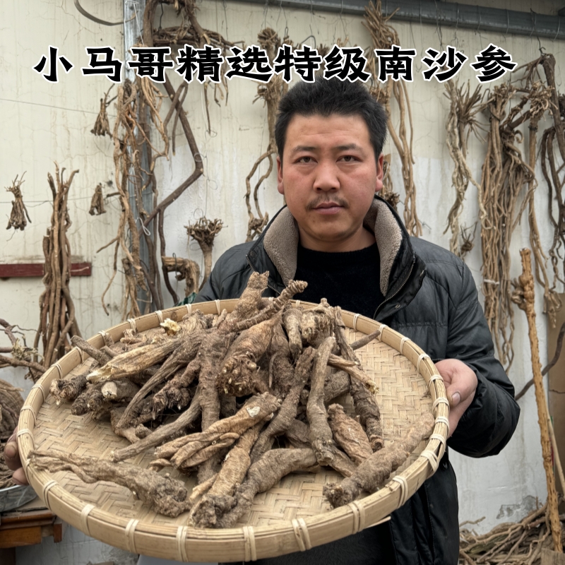 甘肃野外采挖南沙参新货500克包邮