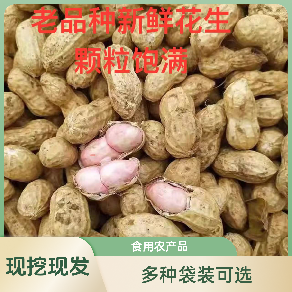 新鲜现挖2025年罗汉果小白沙农家现挖新鲜生湿花生现挖现发