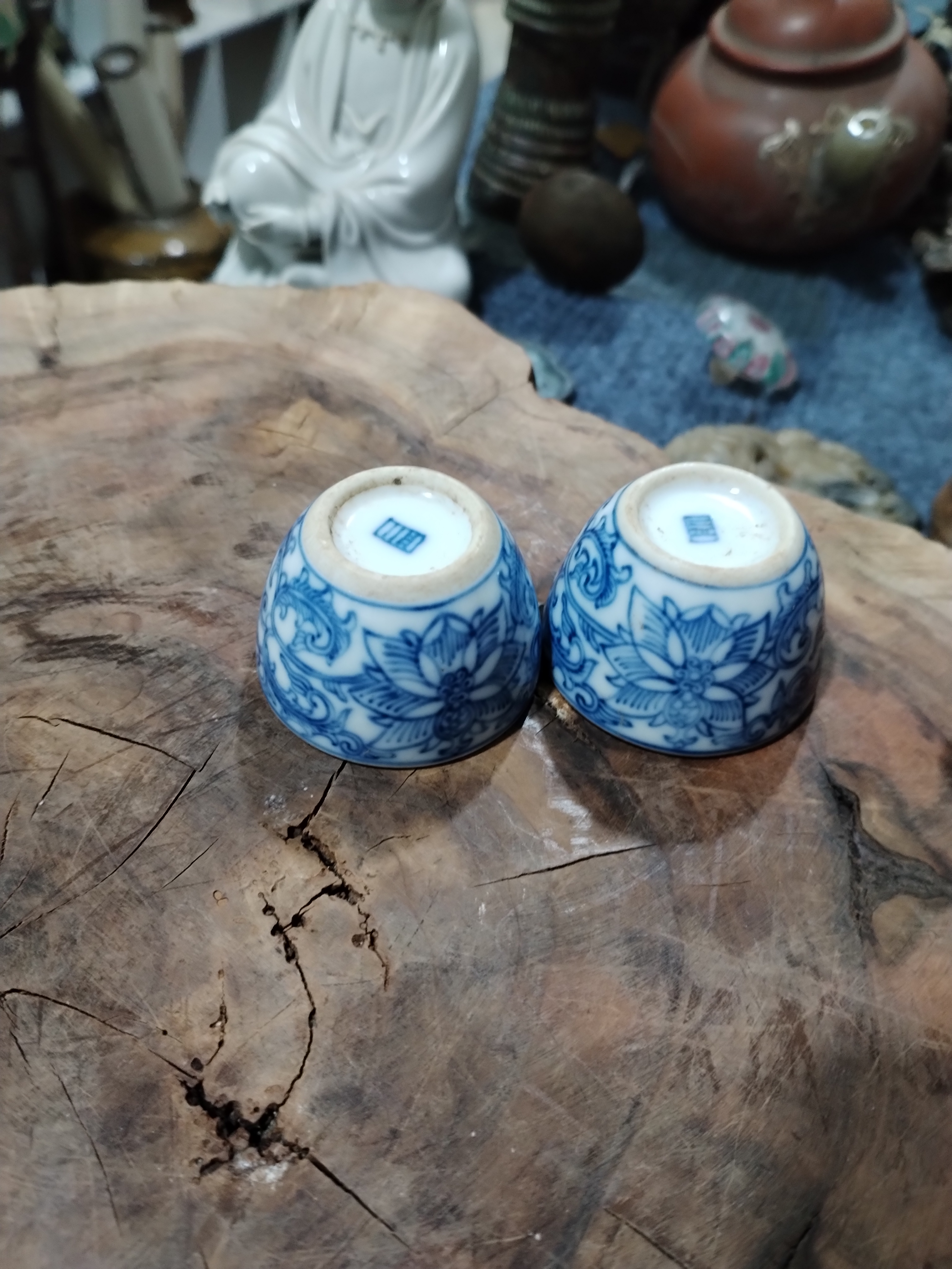 茶杯，，，。。。。。。。。。