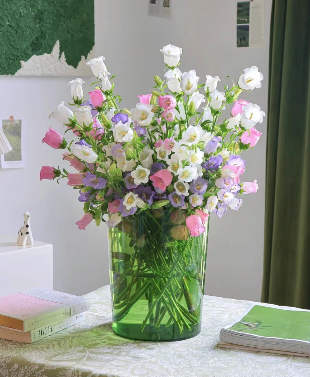 云南万千花卉基地鲜花 风铃草 包邮